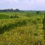  Land for sale in Selemadeg, Tabanan, Selemadeg