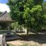  House for sale in West Nusa Tenggara, Ampenan, Mataram, West Nusa Tenggara