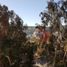 3 Habitación Apartamento en venta en Valparaíso, Valparaíso, Viña del Mar, Valparaíso