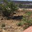 Terrain à vendre à El Marques, Queretaro, El Marques
