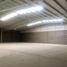 800 m² Office for rent in Coahuila, Torreon, Coahuila