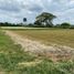  Land for sale in Palmira, Valle Del Cauca, Palmira