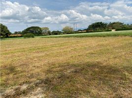  Land for sale in Palmira, Valle Del Cauca, Palmira