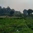  Land for sale in Bogor, West Jawa, Cisarua, Bogor