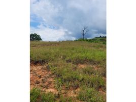  Land for sale in Dagua, Valle Del Cauca, Dagua