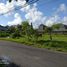  Land for sale in Denpasar, Bali, Denpasar Barat, Denpasar