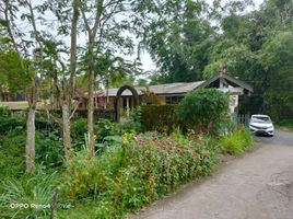  Terreno (Parcela) en venta en Seyegan, Yogyakarta, Seyegan