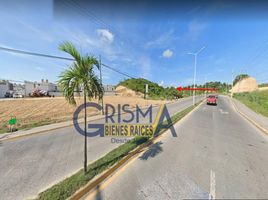  Terreno (Parcela) en venta en Tuxpan, Veracruz, Tuxpan, Veracruz
