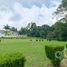  Land for sale in Xico, Veracruz, Xico, Veracruz