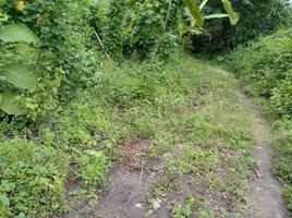  Land for sale in Bantul, Yogyakarta, Kasihan, Bantul