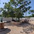  Terreno (Parcela) en venta en Yaxkukul, Yucatán, Yaxkukul