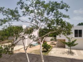  Terreno (Parcela) en venta en Yaxkukul, Yucatán, Yaxkukul