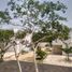  Terreno (Parcela) en venta en Yaxkukul, Yucatán, Yaxkukul
