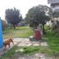 Studio Villa for sale in General Sarmiento, Buenos Aires, General Sarmiento