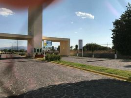  Grundstück zu verkaufen in Allende, Guanajuato, Allende