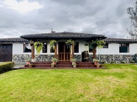 4 Habitación Casa en venta en Imbabura, Cotacachi, Cotacachi, Imbabura