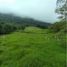  Land for sale in La Ceja, Antioquia, La Ceja