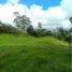  Land for sale in La Ceja, Antioquia, La Ceja