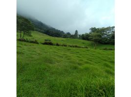  Land for sale in La Ceja, Antioquia, La Ceja