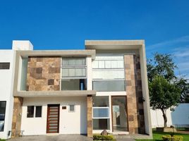 4 chambre Appartement for sale in Jalisco, Zapopan, Jalisco