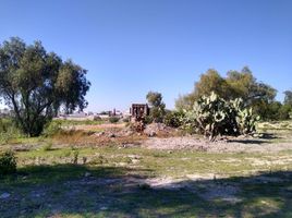  Grundstück zu verkaufen in Tula De Allende, Hidalgo, Tula De Allende