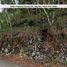  Land for sale in Tepus, Yogyakarta, Tepus, Gunung Kidul
