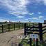  Terreno (Parcela) en venta en Chile, Los Muermos, Llanquihue, Los Lagos, Chile