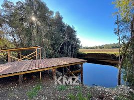  Terreno (Parcela) en venta en Chile, Los Muermos, Llanquihue, Los Lagos, Chile