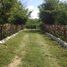 Land for sale in Seye, Yucatan, Seye