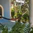  Land for sale in Seye, Yucatan, Seye
