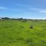  Terreno (Parcela) en venta en Ñuble, Chillan, Diguillín, Ñuble