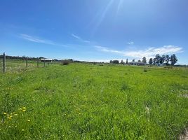  Terreno (Parcela) en venta en Ñuble, Chillan, Diguillín, Ñuble