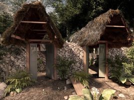 Maison 4 chambre à vendre à Cozumel, Quintana Roo, Cozumel
