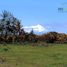  Land for sale in Chile, Puerto Varas, Llanquihue, Los Lagos, Chile