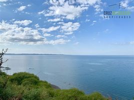  Land for sale in Chile, Puerto Varas, Llanquihue, Los Lagos, Chile
