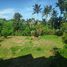 3 Bedroom Villa for sale in Bali, Ubud, Gianyar, Bali