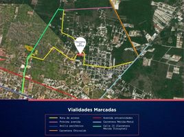  Grundstück zu verkaufen in Conkal, Yucatan, Conkal