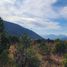  Land for sale in Arteaga, Coahuila, Arteaga