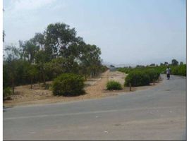 在Asia, Cañete出售的 土地, Asia