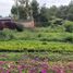  Terreno (Parcela) en venta en Sumurbandung, West Jawa, Sumurbandung, Bandung