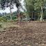  Terreno (Parcela) en venta en Sumurbandung, West Jawa, Sumurbandung, Bandung