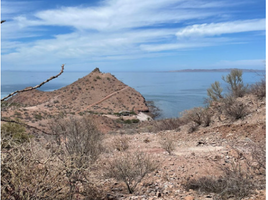  Land for sale in Comondu, Baja California Sur, Comondu