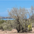  Land for sale in Comondu, Baja California Sur, Comondu