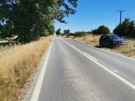  Land for sale in Chile, Paillaco, Valdivia, Los Rios, Chile