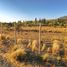  Terreno (Parcela) en venta en Chile, Lonquimay, Malleco, Araucanía, Chile