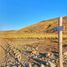  Terreno (Parcela) en venta en Chile, Lonquimay, Malleco, Araucanía, Chile