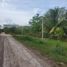 Terrain à vendre à Othon P Blanco, Quintana Roo, Othon P Blanco