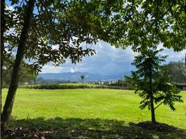  Grundstück zu verkaufen in Rionegro, Antioquia, Rionegro, Antioquia
