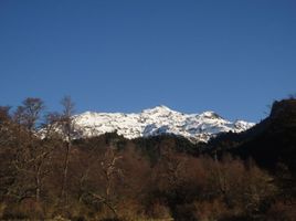  Haus zu verkaufen in Malleco, Araucania, Curacautin, Malleco