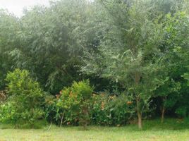  Land for sale in Colon, Entre Rios, Colon